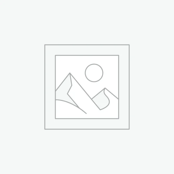 CEPILLO CITOLOGICO NO EST. C/100